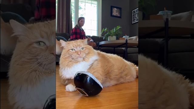 Царь трапезничать желает смотреть онлайн