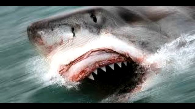 Акулы нападают...Shark...attack18+ смотреть онлайн