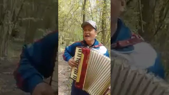 Замирбек Каримов смотреть онлайн