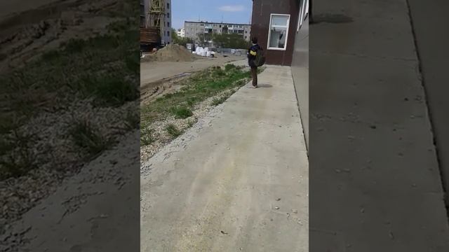 Побег от собак смотреть онлайн