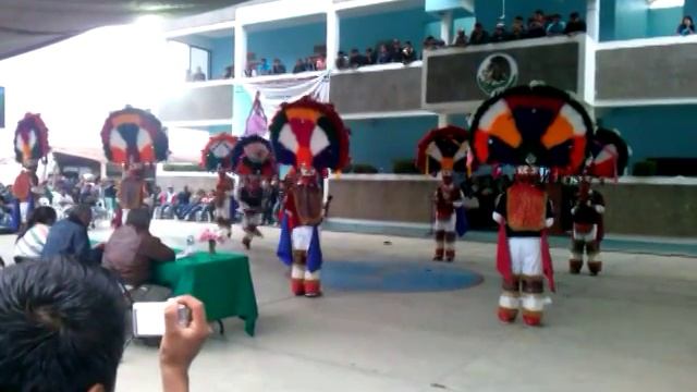 danza de la pluma tlacolula de matamoros oaxaca смотреть онлайн