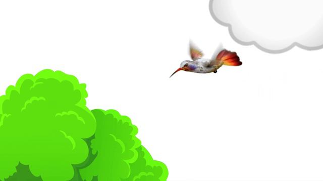 Hummingbird Bird For Cats To Watch ✖ Video For Cats 3 Hours