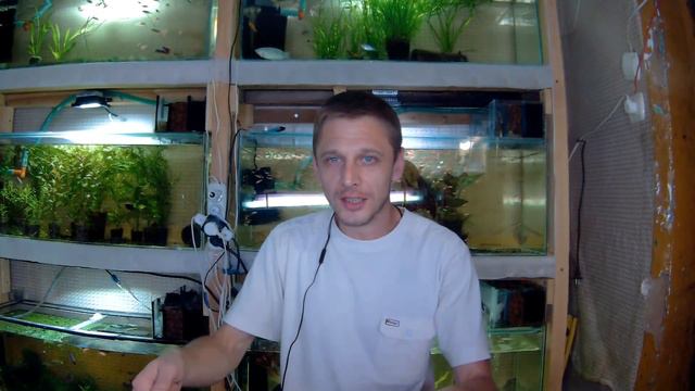 ВОПРОС - ОТВЕТ!!! смотреть онлайн