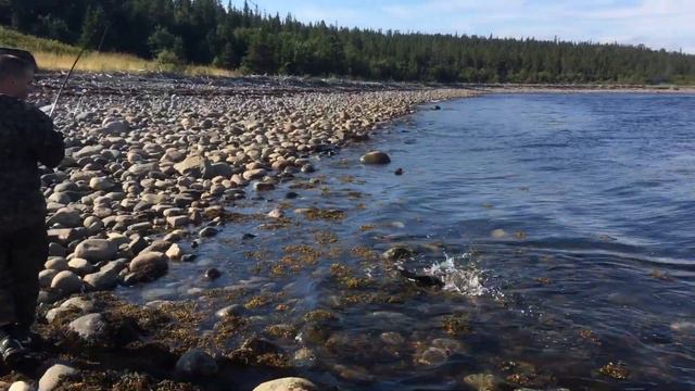 Терский берег. смотреть онлайн
