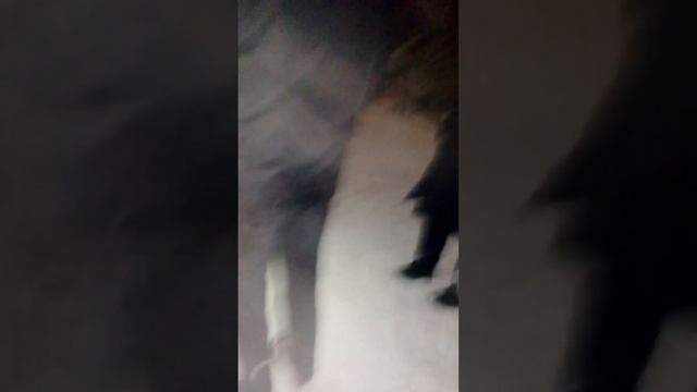 пацан скатывается с железной горки в гору снега