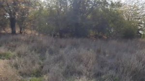 Забытые деревни Краснодарский край