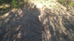 Лазурит! Что стало с сорняками после обработки лазуритом