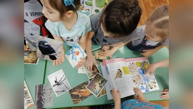 День птиц смотреть онлайн