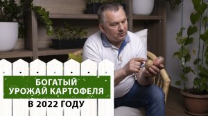 Как ПРАВИЛЬНО подготовить картофель к посадке