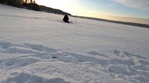 Зимняя рыбалка на мотобуксировщике Sharmax S500 ENDURO