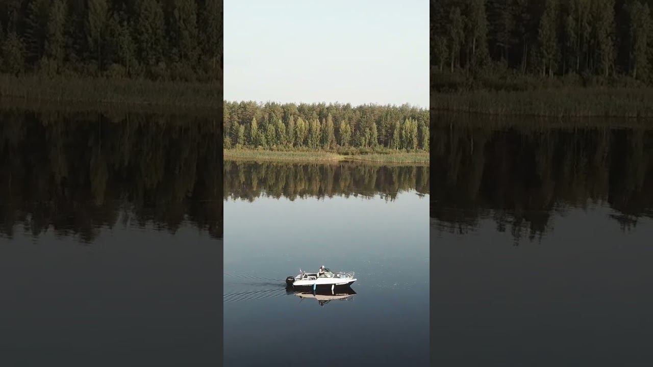 Молога. Phoenix 560 смотреть онлайн