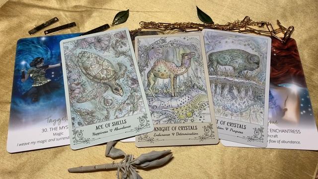 Tarotpickacard DREAMS MATERIALIZE IN THE NEXT 6 months смотреть онлайн