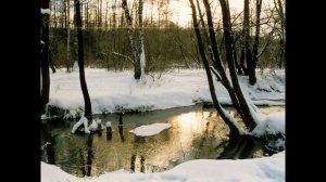 Ф И  Тютчев Зима не даром злится 2 класс