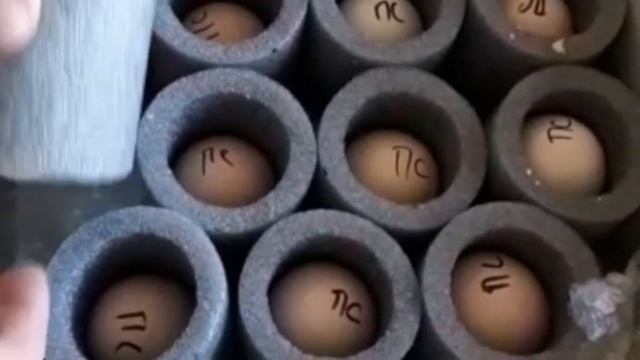 Инкубационное яйцо Почтой России дошло до адресата. Но как дошло? смотреть онлайн