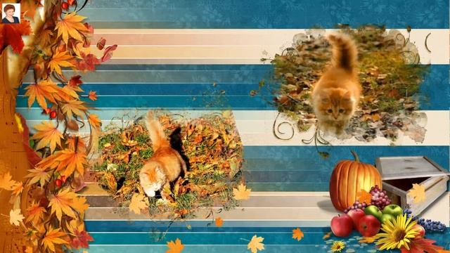 КОШКА ПО ИМЕНИ ОСЕНЬ (Cаt. Autumn) смотреть онлайн