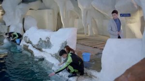 Если Париж не радует 1 сезон 48 серия