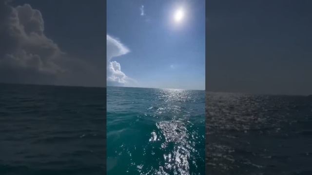 Архипо-Осиповка июль 2023 года ⛅ Чёрное море ? смотреть онлайн