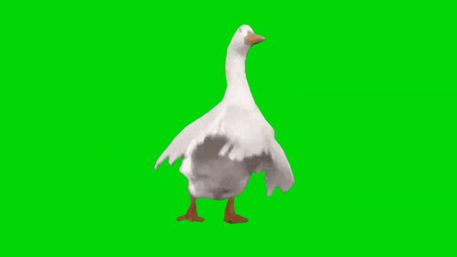 Dancing Duck Green Screen смотреть онлайн