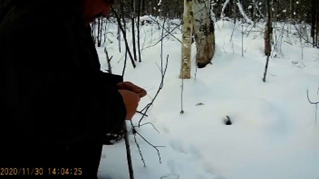 Ставлю петли на зайцев. смотреть онлайн