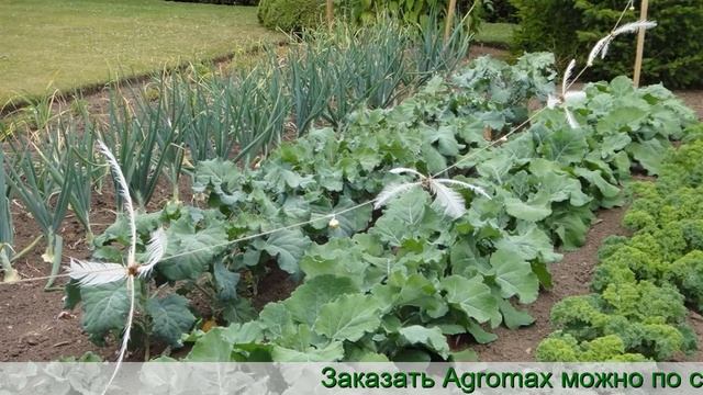 Удобрение Агромакс Инструкция смотреть онлайн