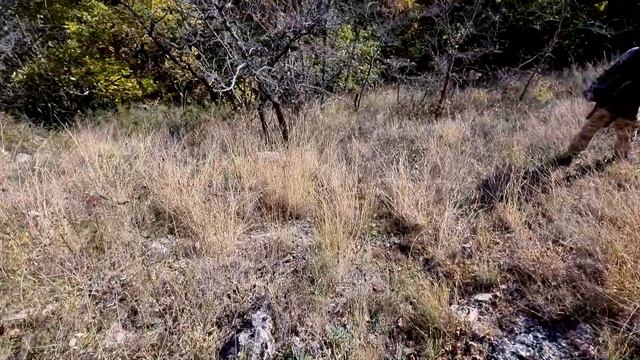 Увёз девушку в лес, а она прыгает в грязь ?. Уехал от городской суеты, ночёвка в лесу отменяется ? смотреть онлайн