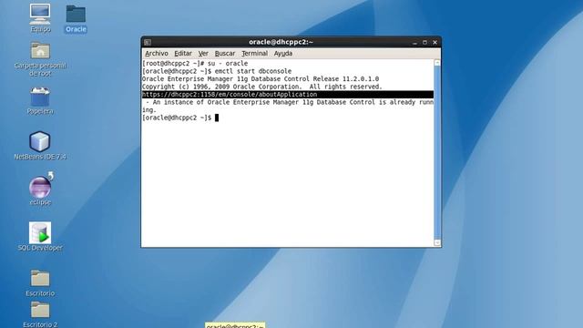 Iniciar el Cliente Web de oracle Enterprise Manager смотреть онлайн