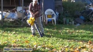Бензиновая воздуходувка-пылесос «Champion» в женских руках. Уборка листьев воздуходувкой (ч.1)