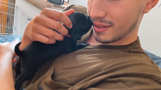 WELPENALARM ∙ Welpen besuchen & wir verraten euch ihren Namen 😍 смотреть онлайн