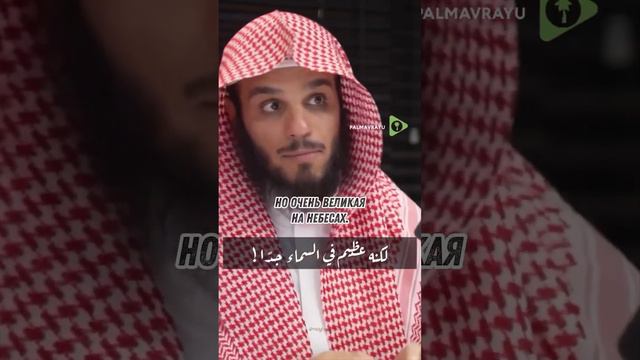 Шейх Насыр Аль Хумейди смотреть онлайн