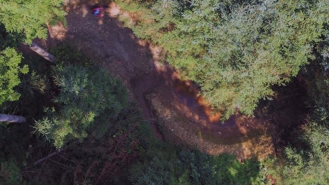 Dan Atherton Shreds Latest Mountain Bike Creation in Dyfi смотреть онлайн