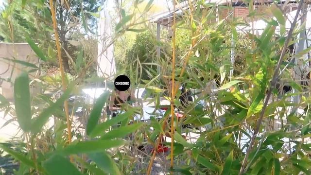 CHICA INTERESADA me RECHAZA hasta que ve Mi LAMBORGHINI смотреть онлайн