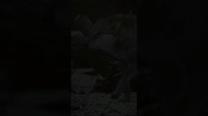 Наполни свою жизнь позитивом