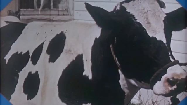 Poradnik Uśmiechu 2 - Jak Zrobić Z Papieru