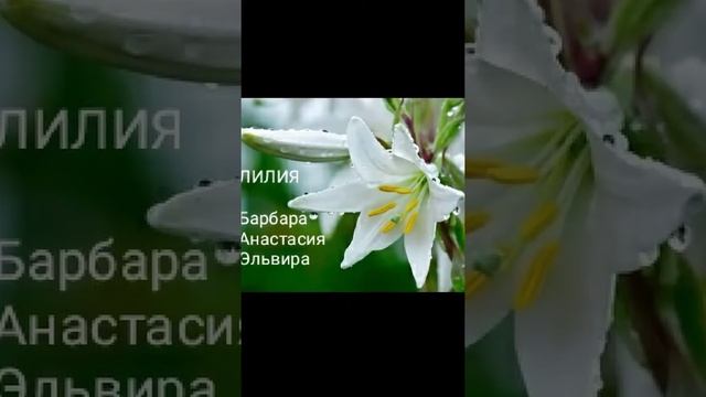 Какой ты цветок по имени (ЖЕНСКИЕ ИМЕНА).