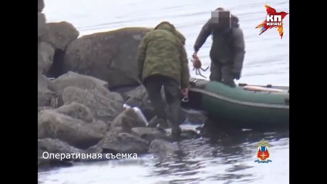 Задержание группы занимавшейся незаконной ловлей краба смотреть онлайн