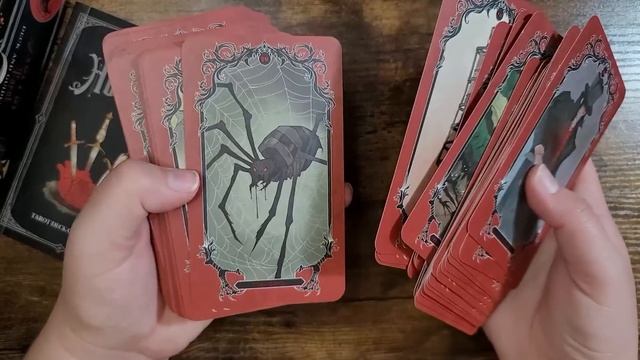 My Dark Aesthetic Tarot Collection смотреть онлайн
