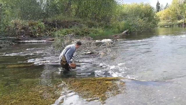 Поход с рыбалкой на хариуса, таежная речка 2022 смотреть онлайн