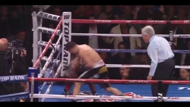 ТОП 10 Ярких боксеров/TOP 10 BRIGHT BOXERS смотреть онлайн