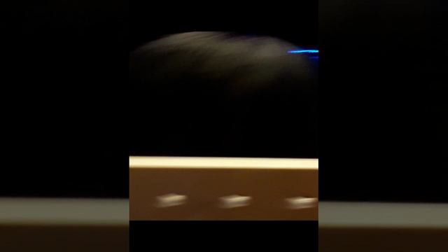 #СатьяДас 08.08.2024 Семинар Калининград #ЯнтарьХолл