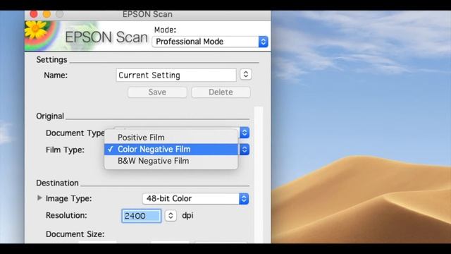 Scanning film negatives with the Epson V600 in 3 minutes смотреть онлайн