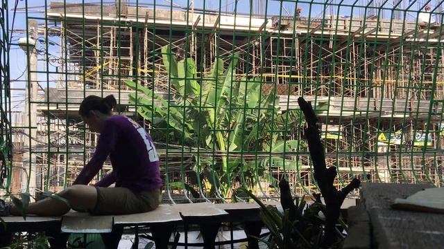 Painting Veranda 4 смотреть онлайн