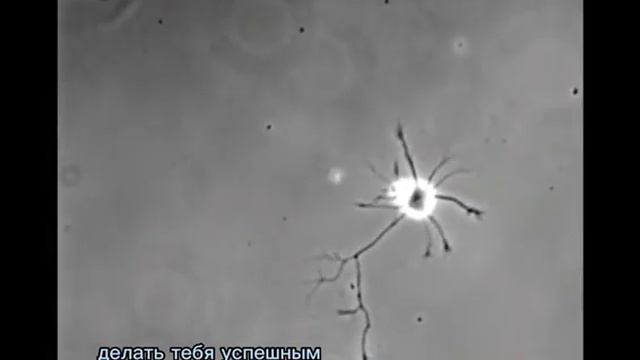 Любовные приключения