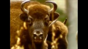 2 апреля — День единения народов Беларуси и России.