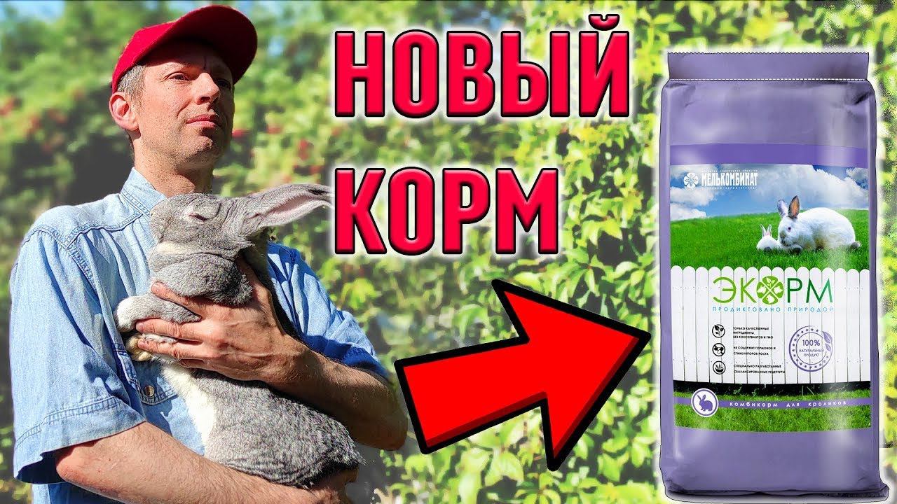Новый комбикорм для кроликов смотреть онлайн