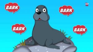 Животное звук песня | узнать звук животных | Дошкольное обучение