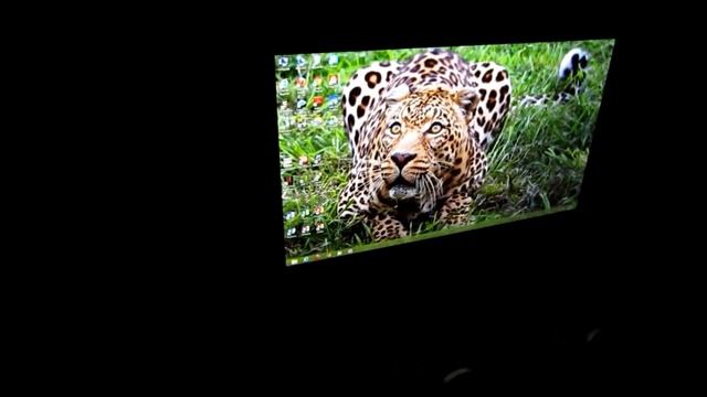 AOC i2369Vm Viewing Angles смотреть онлайн