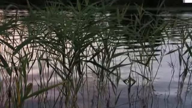 Озеро Пертозеро смотреть онлайн