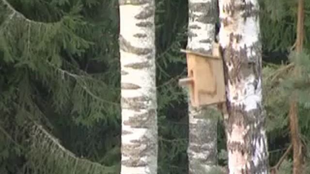 Подмосковье, отель Истра Holiday смотреть онлайн