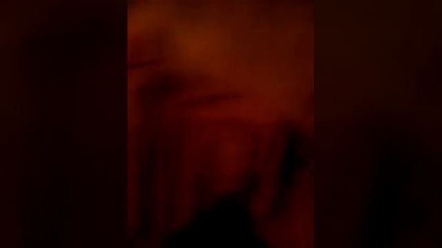 Это мой щенок 😀😀😀😀!!!! смотреть онлайн