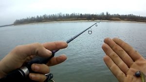 Ловля окуней на джиг.Дон 2021